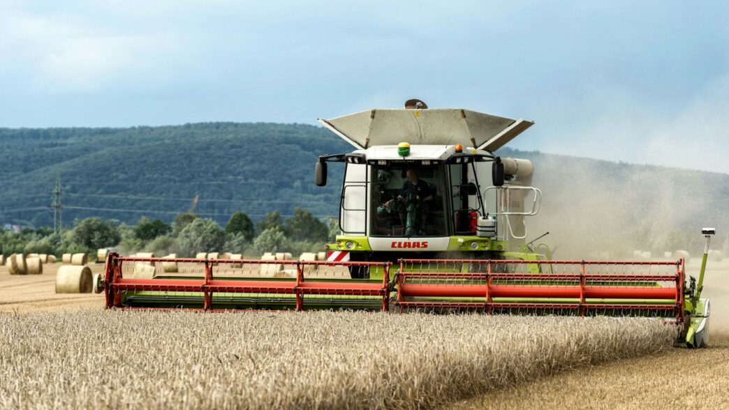 A combine of grain being harvested in a field