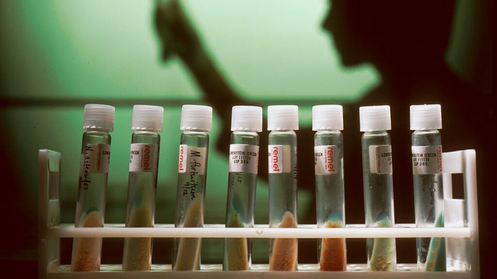 a row of test tubes filled with different colored liquids