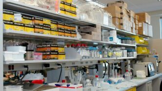 white wooden shelf with bottles and boxes