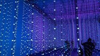 purple and white string lights