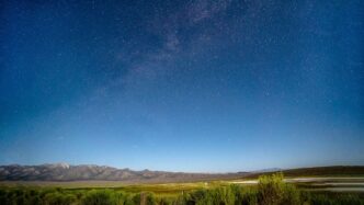 green grass field under blue sky during daytime
