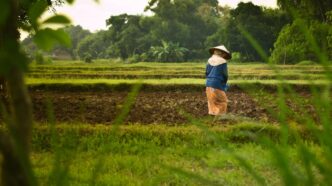a person in a hat walking through a field