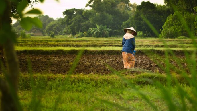 a person in a hat walking through a field