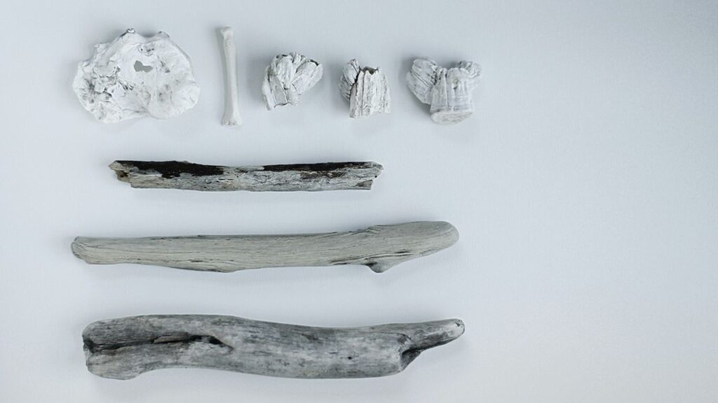 brown wooden twig photography