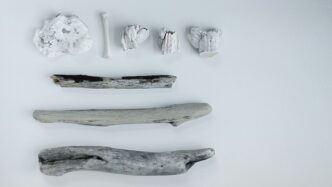 brown wooden twig photography