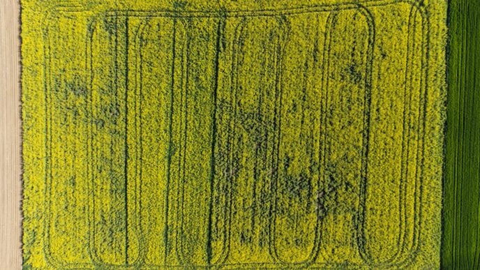 an aerial view of a field of crops