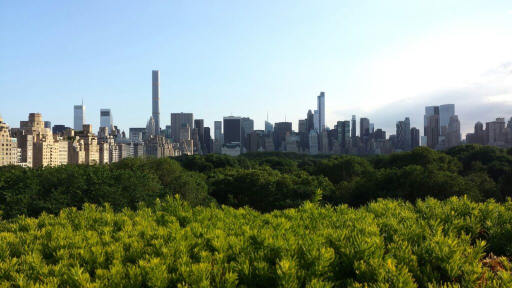 a view of a city skyline from a park