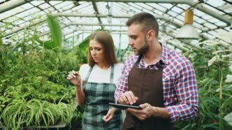 Two people examining plants in a greenhouse