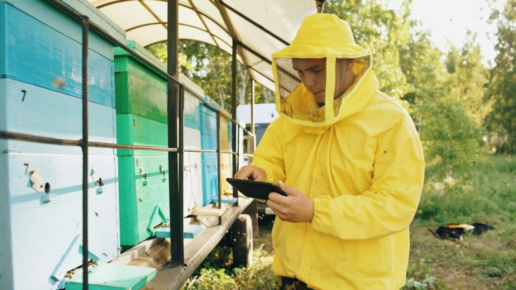 Beekeeper in protective suit checks beehives with tablet.