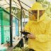 Beekeeper in protective suit checks beehives with tablet.