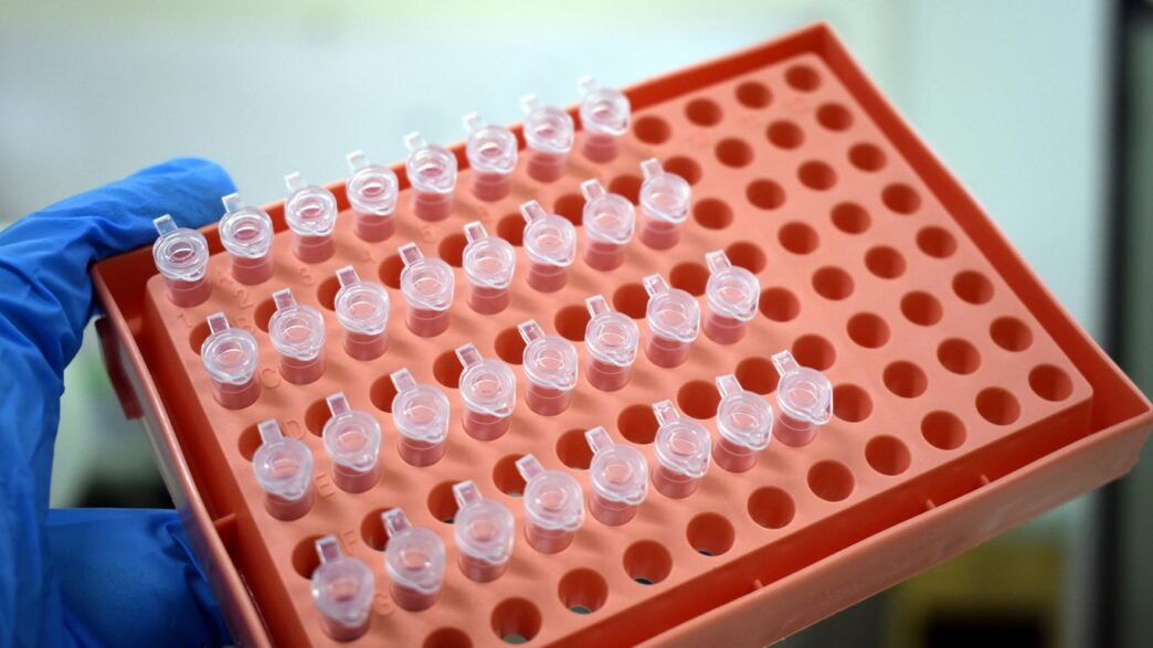a gloved hand holding a tray of test tubes