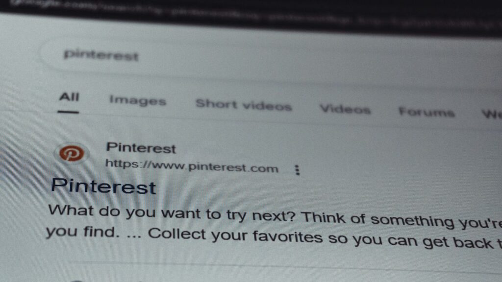 Search results page for pinterest on a screen.