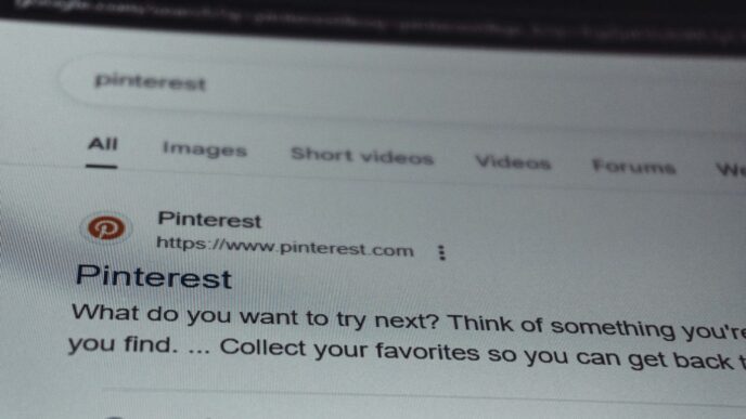 Search results page for pinterest on a screen.