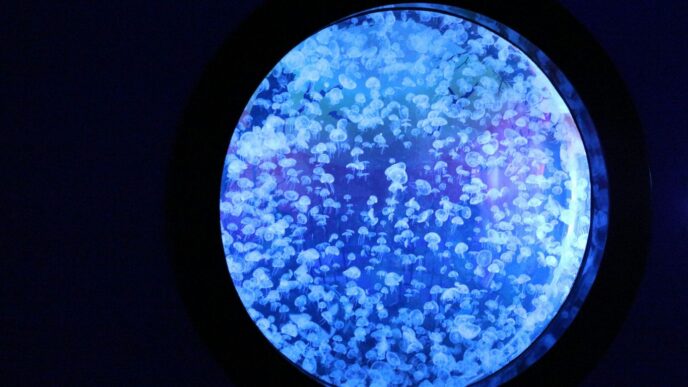 a round window in a dark room with blue light