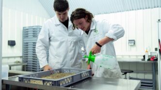 man in white chef uniform holding green bottle