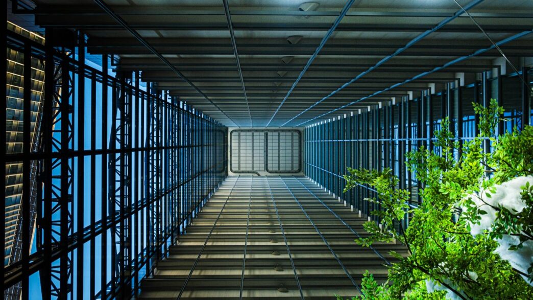 A long hallway with lots of windows and plants