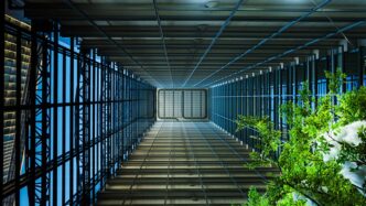 A long hallway with lots of windows and plants