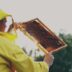 Beekeeper in yellow suit holding honeycomb frame