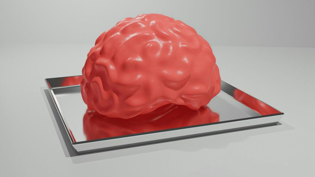 A red brain sitting on top of a metal tray