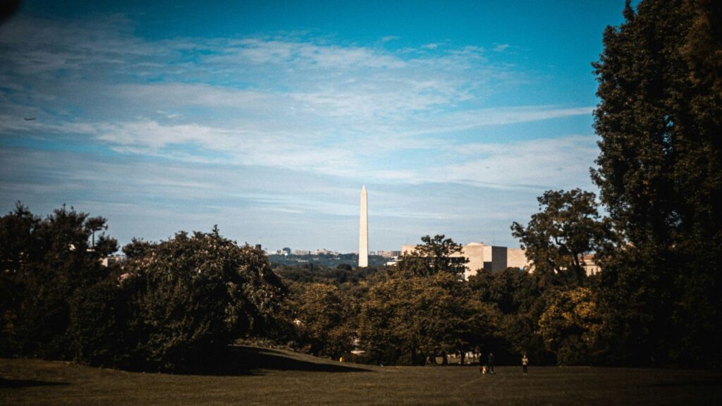 a tall white monument in a park