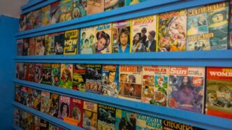 Shelves are filled with a large collection of comics.