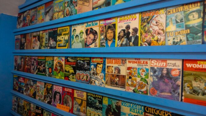 Shelves are filled with a large collection of comics.
