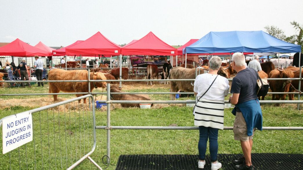 A group of people standing in front of a fence
