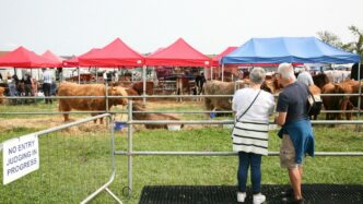 A group of people standing in front of a fence