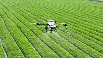 A large field of green grass with a small plane in the middle of it