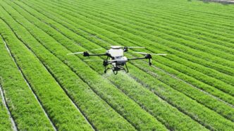 A large field of green grass with a small plane in the middle of it