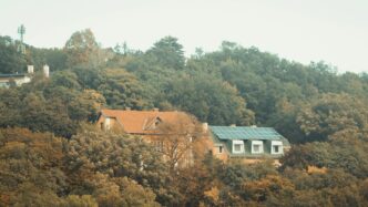 Two houses nestled among autumn trees on a hill.