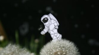 white and black skull ornament