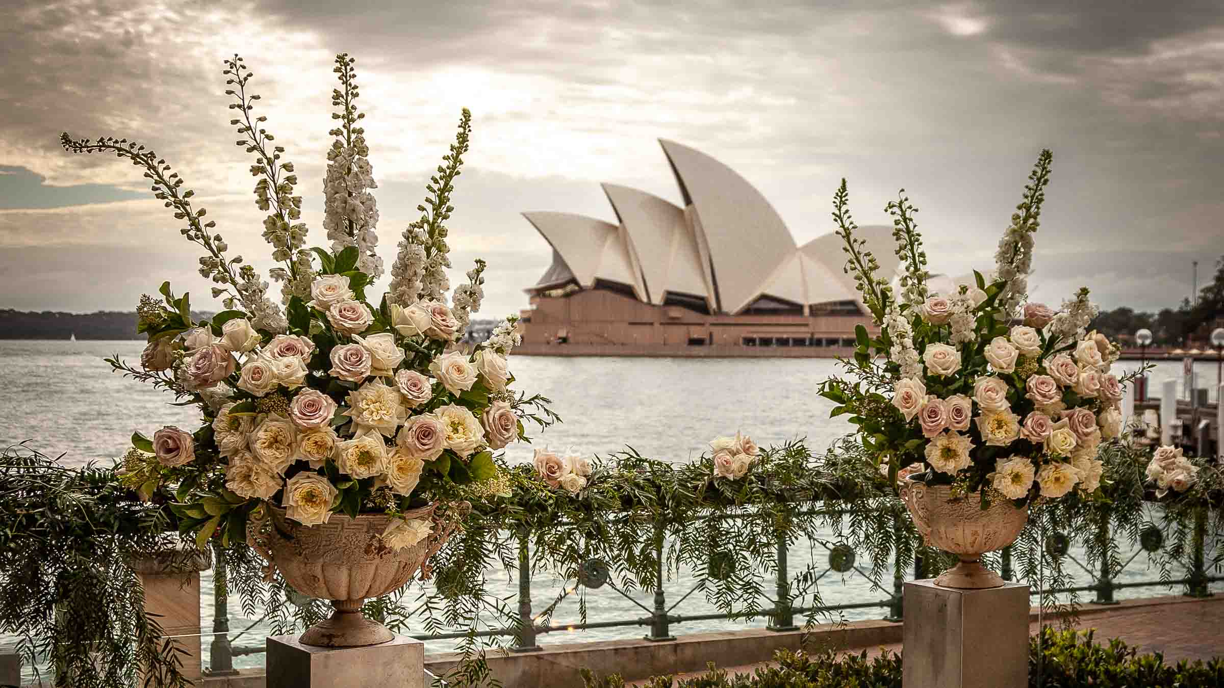 The Complete Guide to Choosing Fresh Flowers for Every Occasion in Sydney