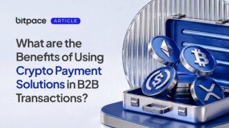 What are the Benefits of Using Crypto Payment Solutions in B2B Transactions?