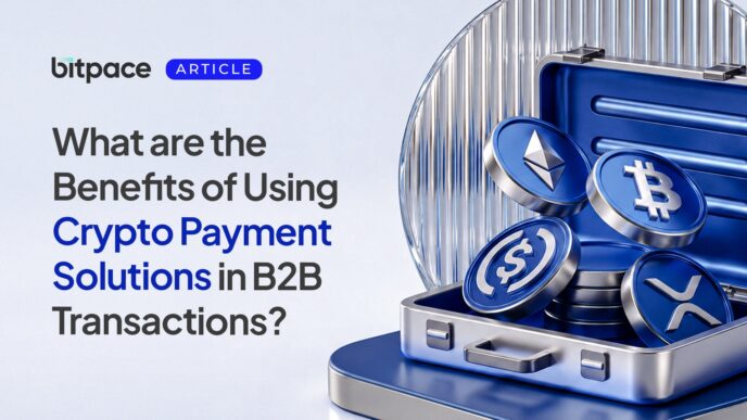 What are the Benefits of Using Crypto Payment Solutions in B2B Transactions?