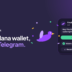 Finchb’s Solana Wallet Runs Inside Telegram, No Download Needed
