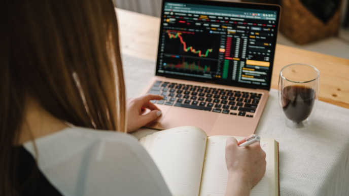 Risk Management in Online Investing